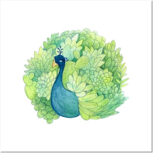 Succulent Peacock Posters and Art